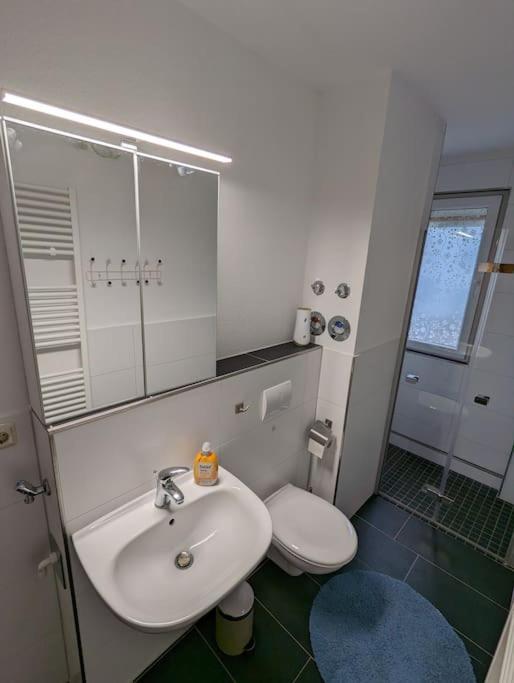 Ferienwohnung Elbaue Barby ภายนอก รูปภาพ